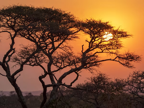 Subsahara-Afrika